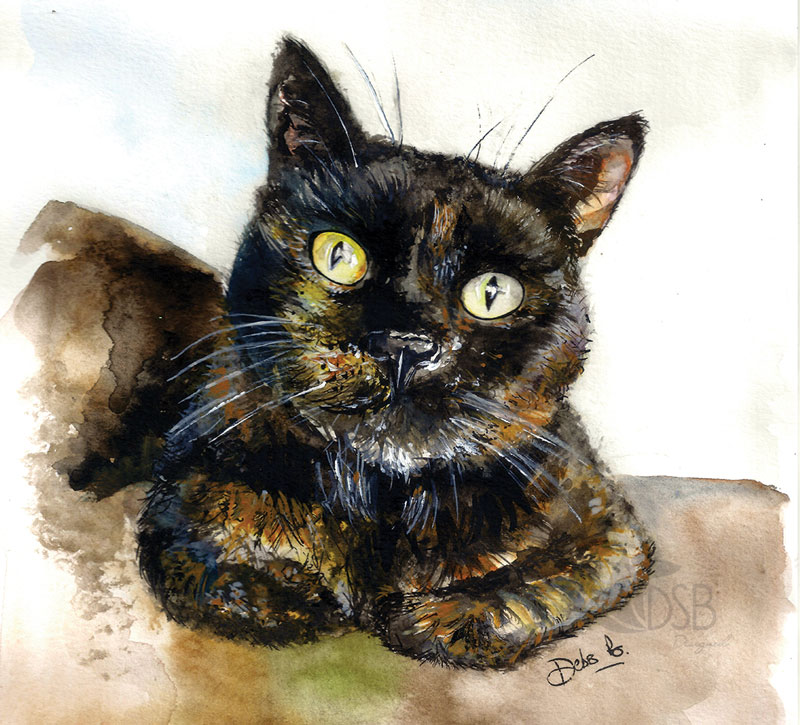 Watercolour of a black and brown cat looking at you