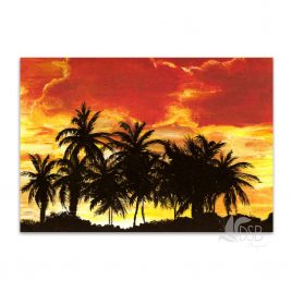 Brazilian Sunset Painting